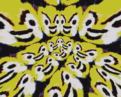 Plik:Mentosikowy pokój.gif