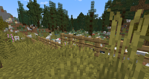 Kryzys migracyjny na granicy Teheran - Shiraz